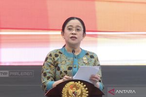 Puan: RI-India punya tanggung jawab bersama jaga stabilitas kawasan