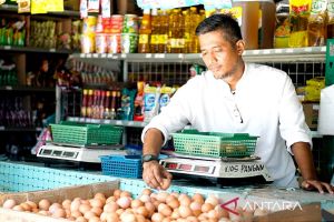 Bapanas optimalkan Kios Pangan demi stabilitas harga di konsumen