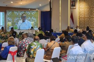 Menko Pangan: Kebutuhan Papua jadi dasar kebijakan pembangunan pangan