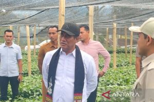 Mentan bidik ekspor kopi Indonesia tembus Rp100 triliun per tahun