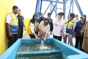Wamendagri pastikan program prioritas di Papua berjalan optimal