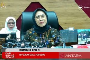 Komisi X minta Perpusnas sesuaikan capaian peningkatan literasi