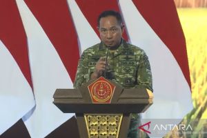 Panglima sebut TNI berhasil penuhi 55 persen produksi beras nasional