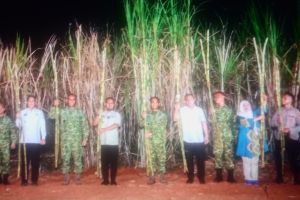 Gubernur Sulsel apresiasi komitmen TNI dukung produksi tebu