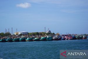 Pelindo harmonisasikan perikanan dan pengembangan marina di BMTH