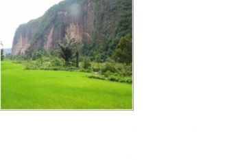 Lembah harau  