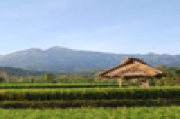 TAMAN NASIONAL GUNUNG RINJANI