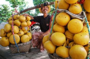 CELENGAN TANAH LIAT