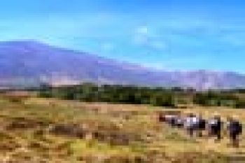 Kunjungan wisatawan ke gunung rinjani diperkirakan meningkat