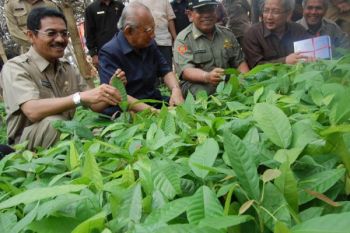Keluarga Miskin Berkurang Hingga 50 Persen