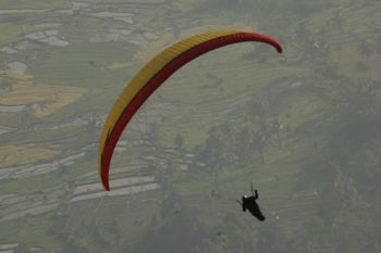 Gagal lepas landas, atlet paralayang terperosok