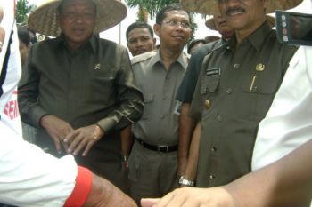 Berikan bantuan sapi kepada petani
