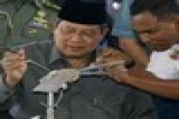 BIBIT MUTIARA