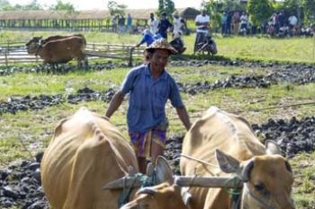 LOMBA BAJAK SAWAH