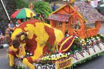 Tomohon Kembali Gelar "Tournament of Flower"
