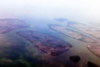Kerusakan Hutan Mangrove