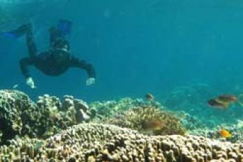 Tim Promosi Wisata "DEMA Show" Ke Orlando