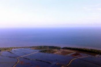 Mangrove Mahakam Parah