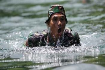 Renang Militer