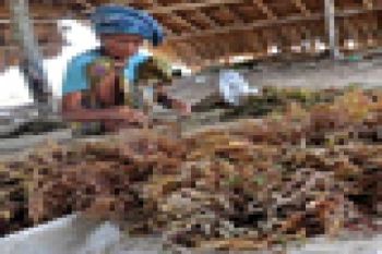 HARGA ANJLOK