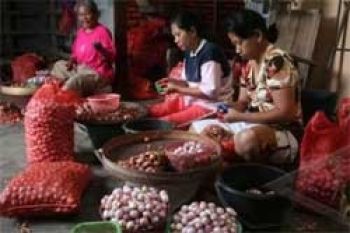Harga Bawang Putih di Karimun Naik