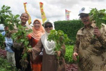 Dirjen Hortikultura Kunjungi Balai Agribisnis Batam