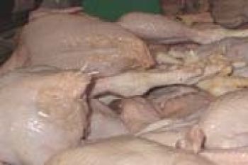 Pedagang Ayam di Tanjungpinang Batasi Penjualan