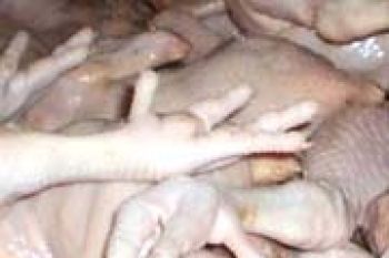 Harga Ayam Potong di Tanjungpinang Rp34 Ribu/kg