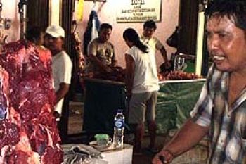 TPH Batam Siapkan 700 Sapi Konsumsi Ramadhan