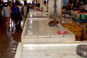 Pedagang Ikan Tidak berjualan Karena Stok Kosong