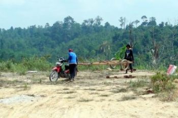 Illegal Logging HLSW