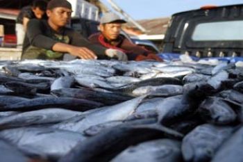 HARGA IKAN NAIK
