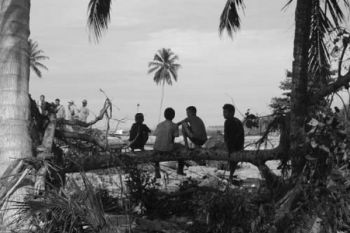 Pohon Durian Selamatkan Nyawa Niram