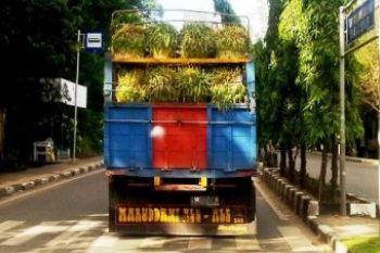 Tergantung Pasokan Luar
