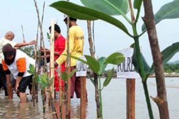 Ratusan perusahaan Batam sepakat lakukan penghijauan