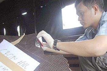 Serpihan Qantas di Batam