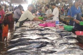 Harga Ikan Stabil Jelang Idul Adha