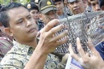 Gebrak Hadiahi Kejari Batam Jebakan Tikus