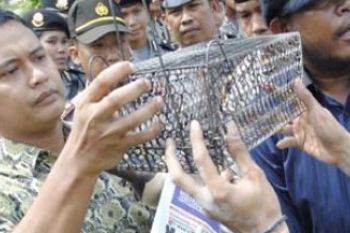 Kejaksaan Batam Dihadiahi Jebakan Tikus