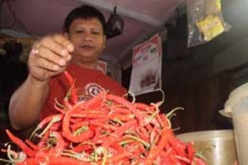 Harga Cabai di Tanjungpinang Naik Jelang Natal