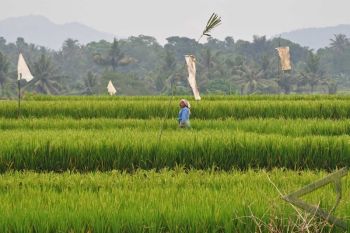 Vice President: Food Resilience Threatened by Climate Change