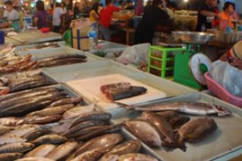 Harga Ikan Laut di Batam Masih Tinggi