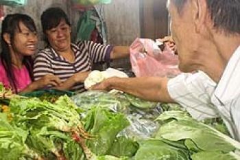 Harga Sayur-Mayur di Tanjungpinang Naik