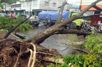 Heavy rain triggers flooding in Makassar