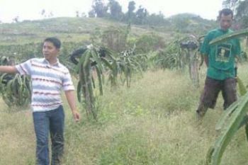 Peledakan Granit Trimegah Ancam Warga