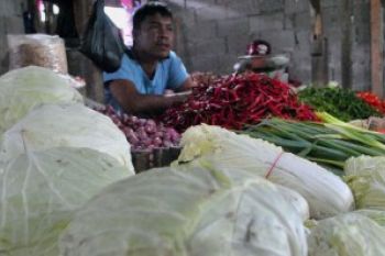 Harga Sayur di Tanjungpinang Naik