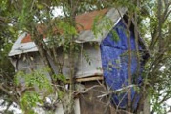 Marit Bangun Rumah Pohon Karena Takut Digusur