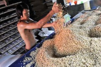 HARGA KEDELAI NAIK
