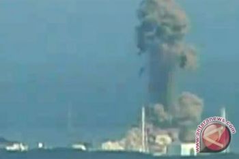 WHO says no evidence of radiation spread from Japan