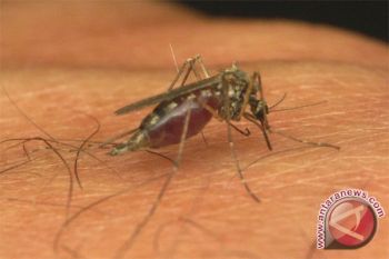 Malaria remains endemic in five Indonesian provinces
